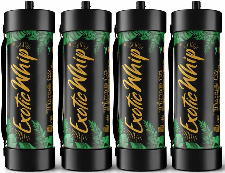 Exotic Whip - 4 x 2kg - Šlehačková bomba